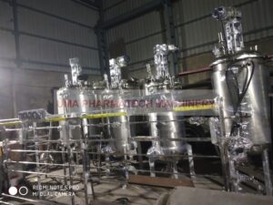 Fermenter / Bioreactor For API Production